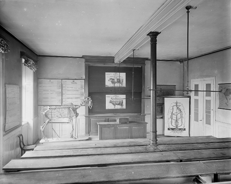 ETH-BIB-Zürich, ETH Zürich, Land- und Forstwirtschaftliches Institut, Westbau (LFW), Hörsaal Nr. 3c-Ans 00392-F