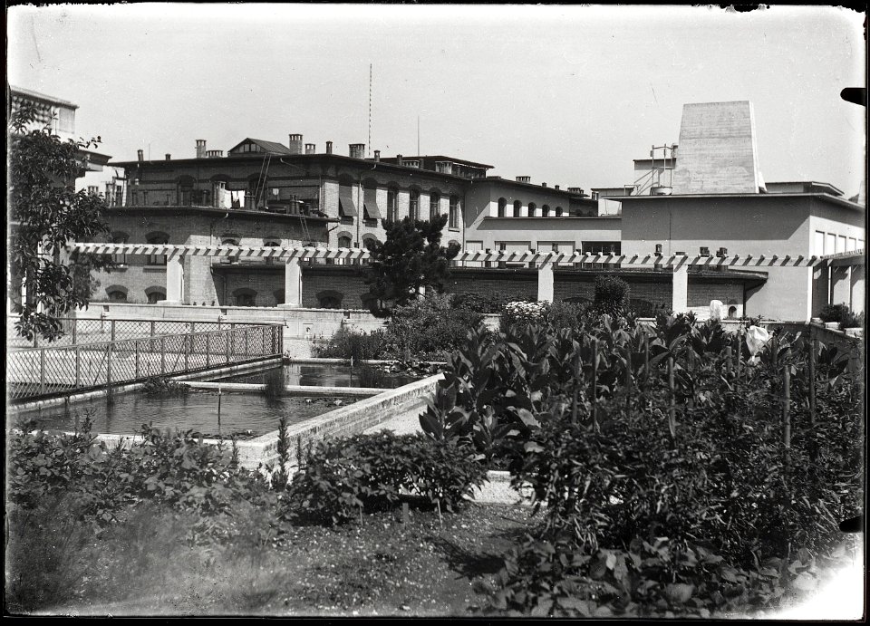 ETH-BIB-Zürich, ETH Zürich, Land- und Forstwirtschaftliches Institut, Westbau (LFW), Nordterrasse, Versuchsgarten des Instituts für allgemeine Botanik und Pflanzenphysiologie-Ans 02934