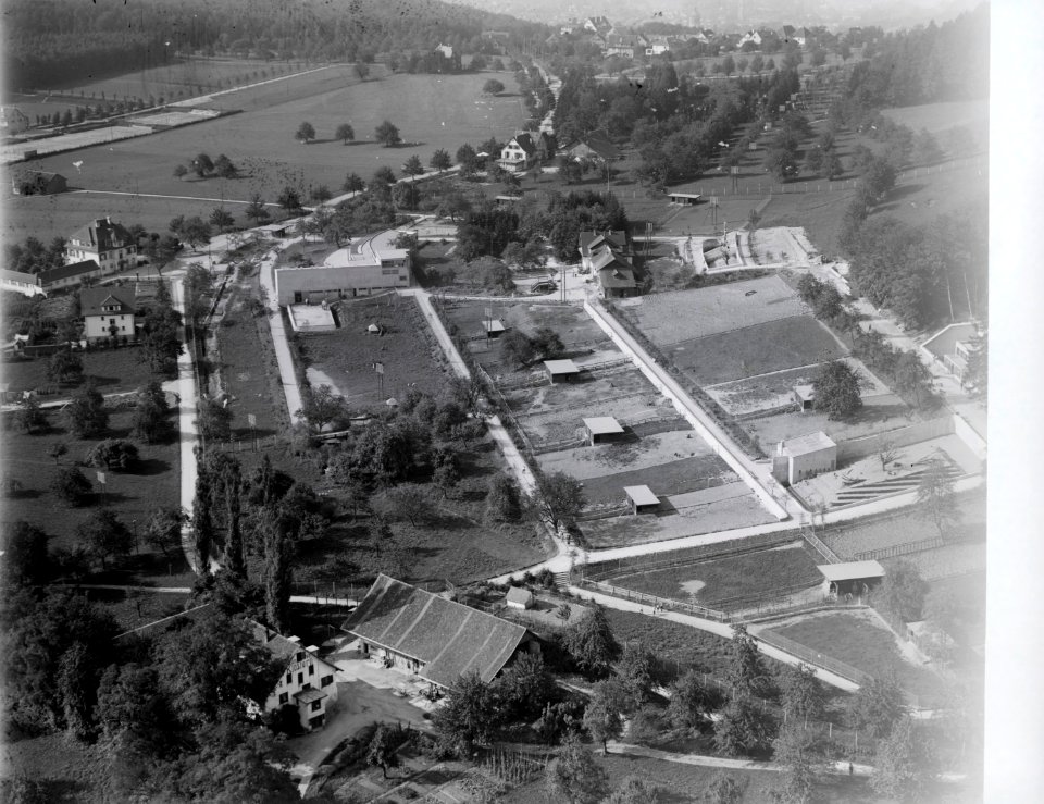 ETH-BIB-Zürich, Zoo-Inlandflüge-LBS MH01-006381