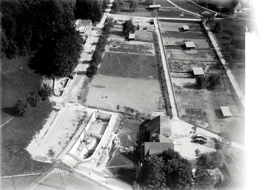 ETH-BIB-Zürich, Zoo-Inlandflüge-LBS MH01-006380