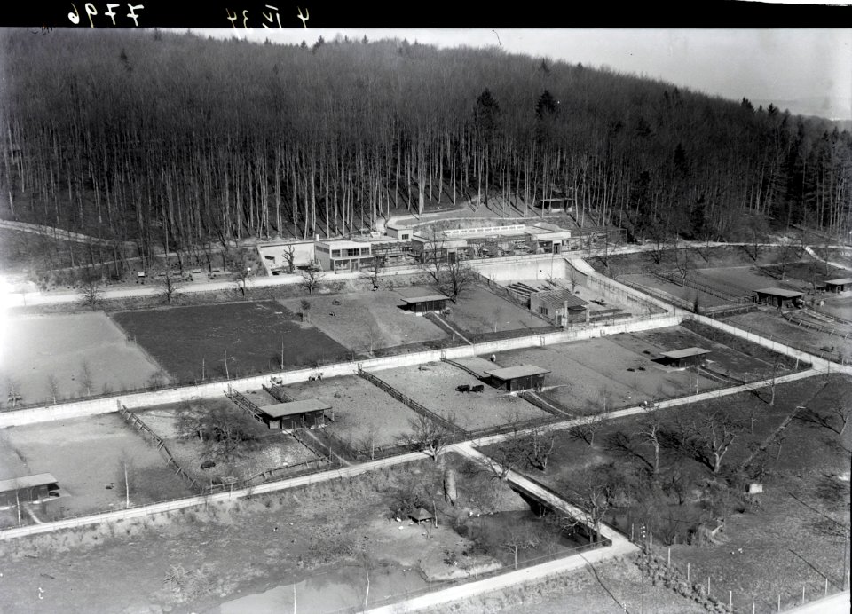 ETH-BIB-Zürich, Zoo aus 100 m-Inlandflüge-LBS MH01-007796