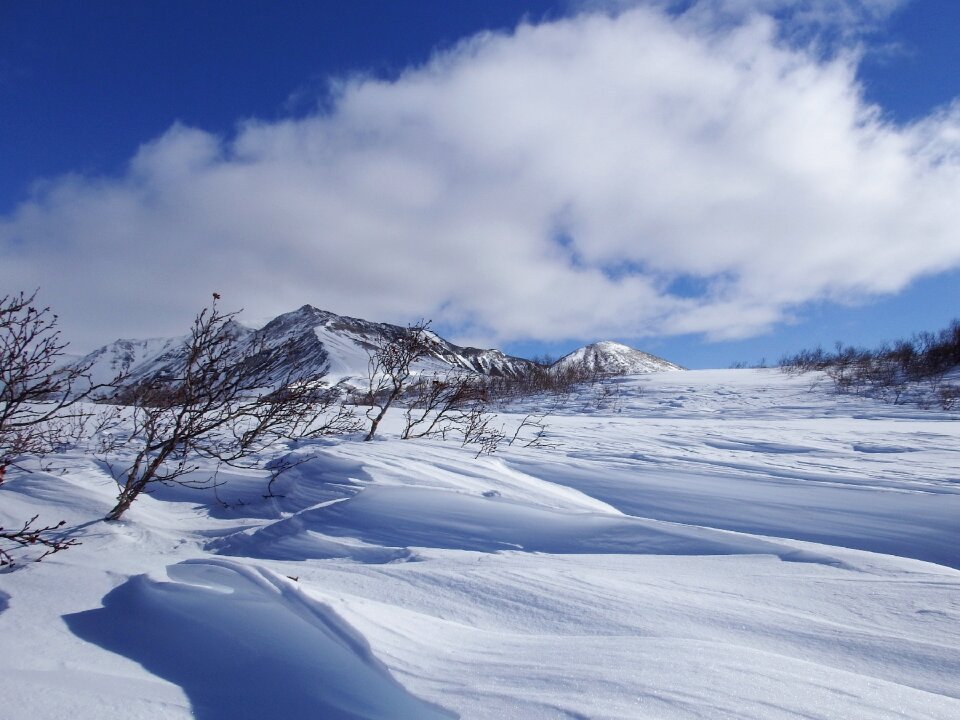 Leann wind frost photo