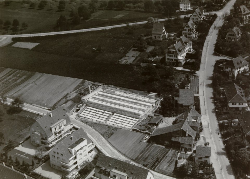ETH-BIB-Zürich-Oberstrass, Gärtnerei-Inlandflüge-LBS MH03-1388