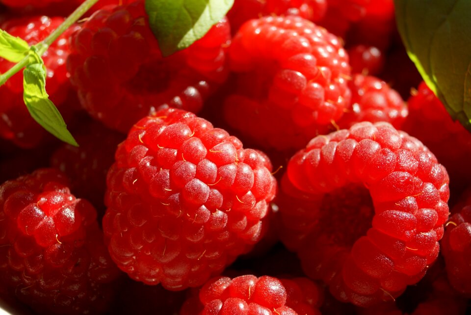 Healthy food natural food fresh