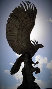 Bird symbol freedom