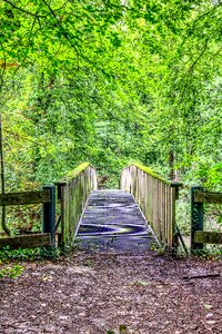 Nature green wooden bridge