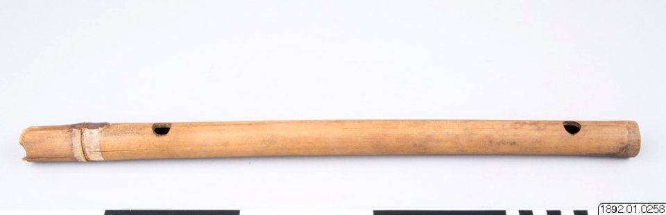 Etnografiska Museet - Flöjt, musikinstrument (1892.01.0258)