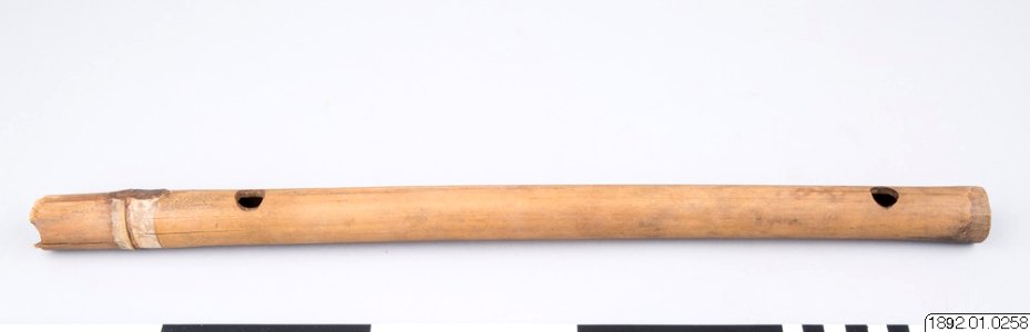 Etnografiska Museet - Flöjt, musikinstrument (1892.01.0258)