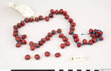 Etnografiska Museet - Halsband, pärlband (1892.01.0271)