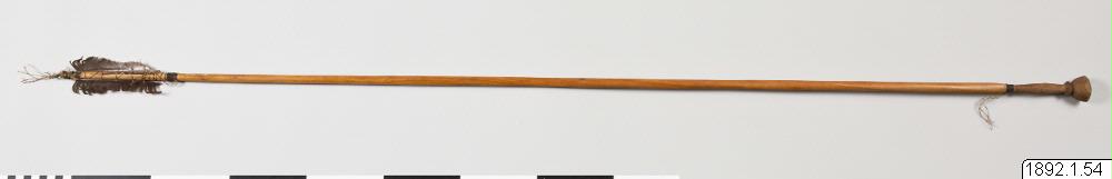 Etnografiska Museet - Pil (1892.01.0054)