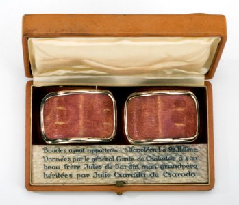 Etui till skospännen - Livrustkammaren - 83958