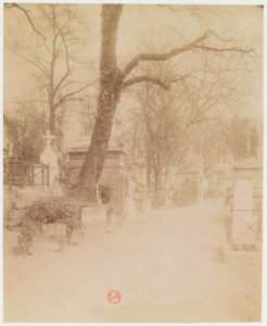 Eugène Atget - Père-Lachaise 02