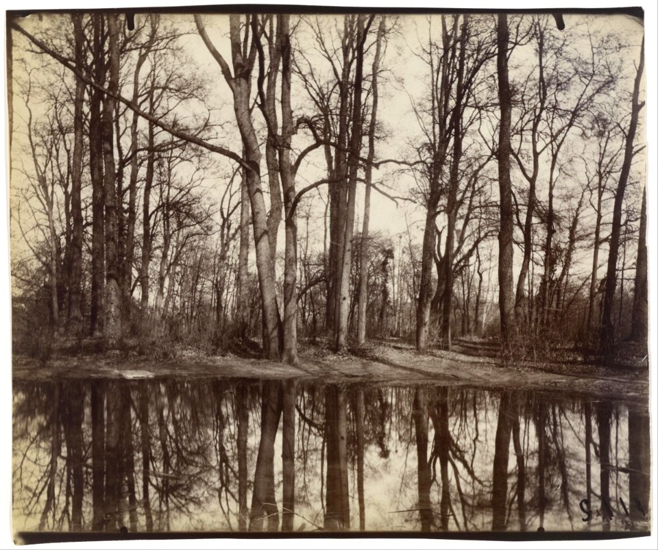 Eugène Atget - Saint-Cloud (gardens of the chateau of Philippe Duc d'Orleans) - Google Art Project