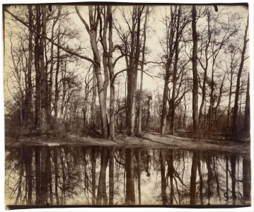 Eugène Atget - Saint-Cloud (gardens of the chateau of Philippe Duc d'Orleans) - Google Art Project