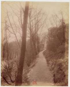 Eugène Atget - chemin des chèvres - Père-Lachaise 01