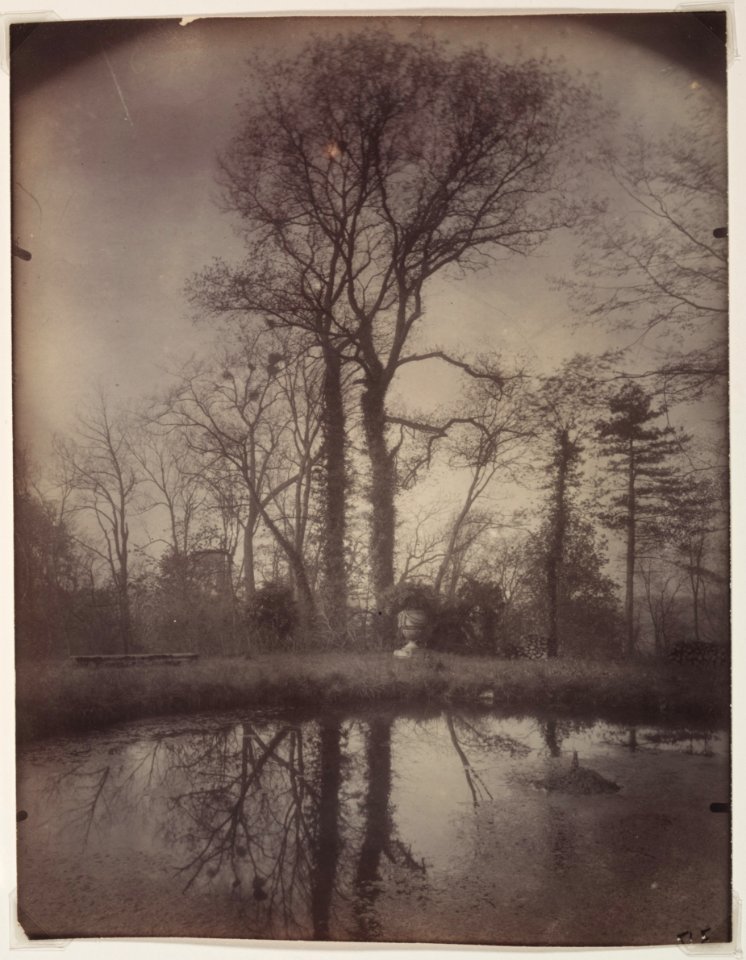 Eugène Atget - The Park at Sceaux April 1925, 7a.m. - 2002.68 - Cleveland Museum of Art