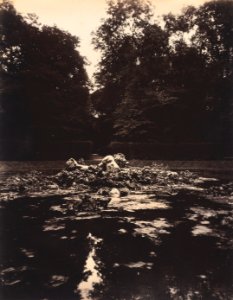 Eugène Atget - Versailles, Fountain of Enceladus - 1985.117 - Cleveland Museum of Art
