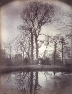 Eugène Atget - The Park at Sceaux April 1925, 7a.m. - 2002.68 - Cleveland Museum of Art
