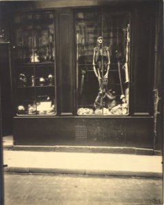 Eugène Atget, Zoologist's Shop - Getty Museum
