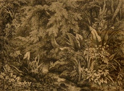 Eugène Bléry-Ruisseau-1865