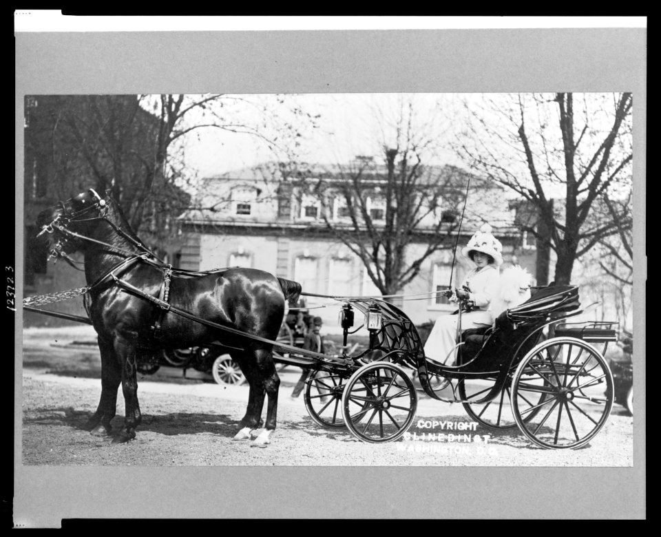 Evalyn Walsh McLean driving horse-drawn carriage LCCN99471534