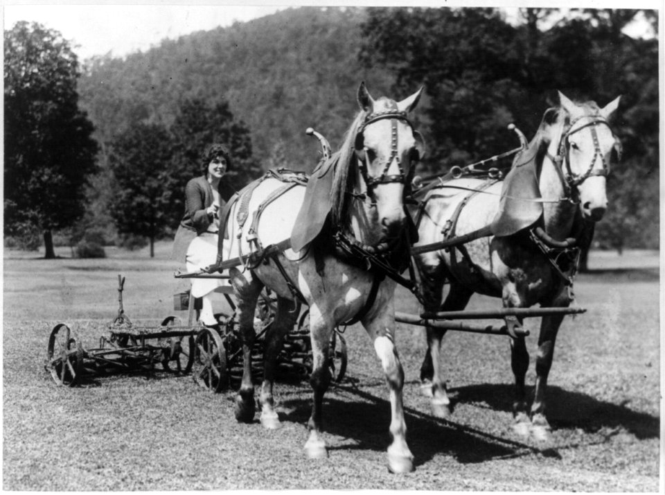Evelyn King of Washington cutting the grass with a pair of horses and mower at White Sulphur Springs, West Va. LCCN2003671102