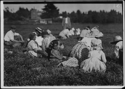 Even the tiny one about 5 years old was picking. Some others picking regularly. Rochester, Mass. - NARA - 523472