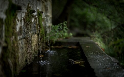 Blur dark nature