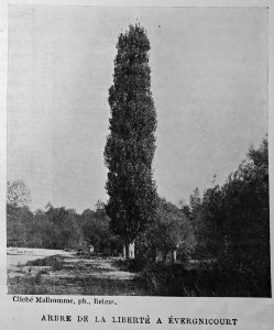 Evergnicourt 96370