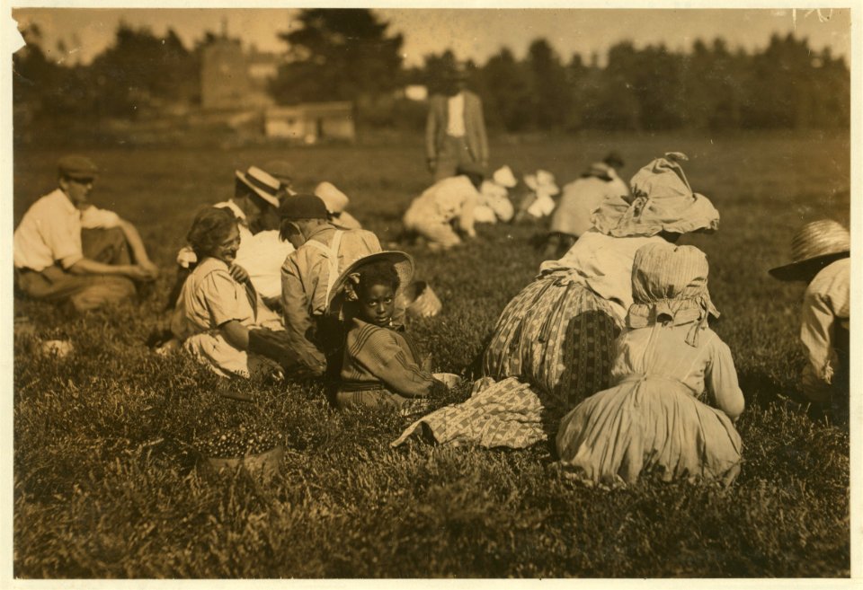 Even the little tiny one about 5 years old was picking. Some others picking regularly. LOC nclc.00138