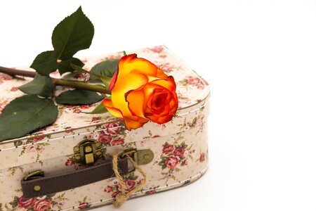 Love affection romantic