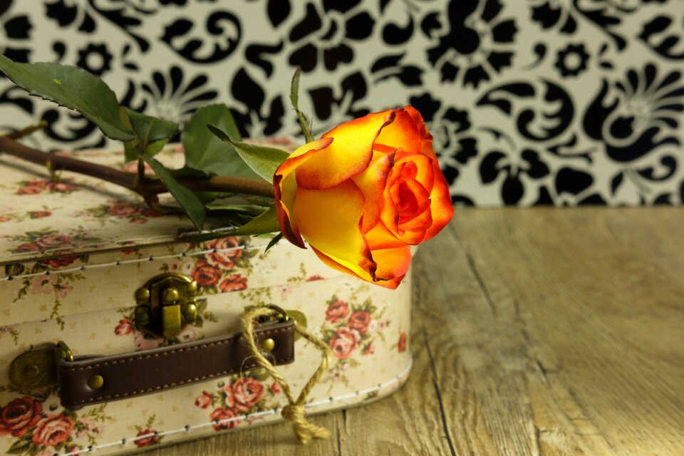 Love affection romantic