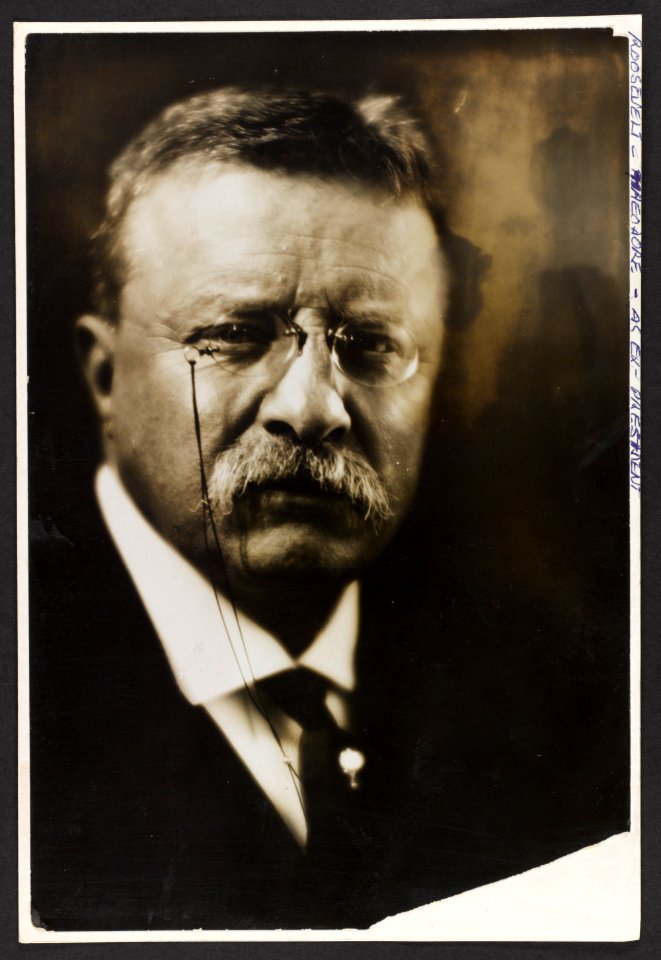 Ex-President Theodore Roosevelt, head-and-shoulders portrait, facing front LCCN2013651090