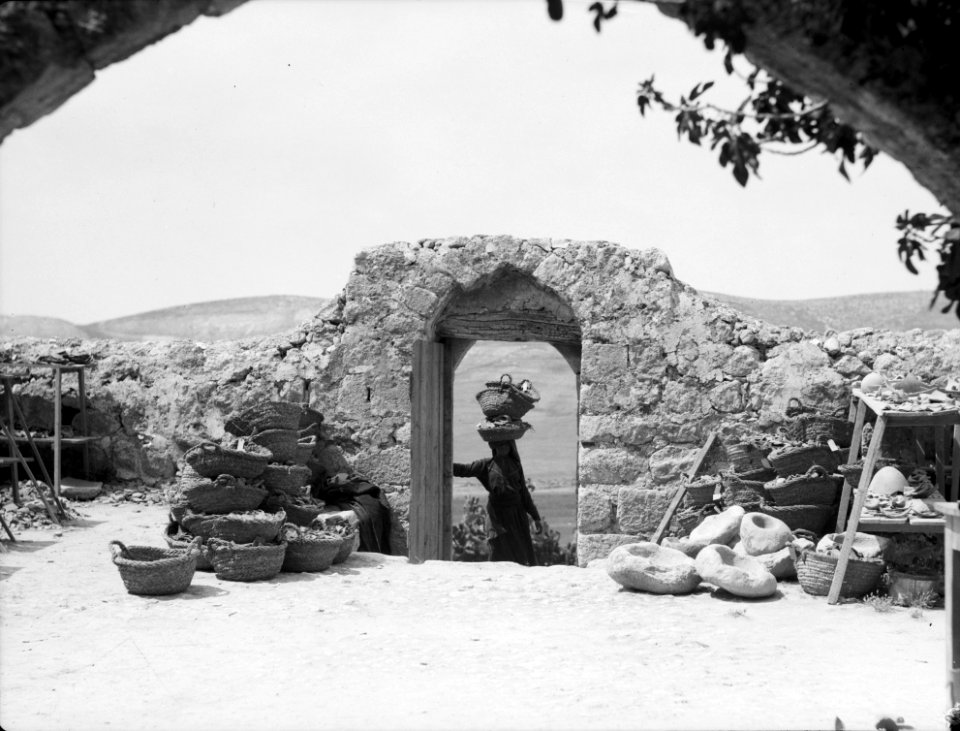 Excavations. Ain Shems (Beth Shemesh) on the Sharon Plain. Bringing in the 'shuk'f.' Pottery fragments to be scrubbed & classified LOC matpc.15688