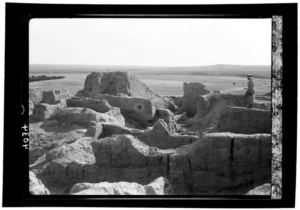 Excavations. Wady Ghazzeh (south of Gaza). Wady Ghazzeh mounds. Excavated section looking toward the open valley and the sea LOC matpc.15679