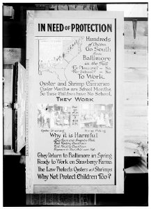 Exhibit panel LOC nclc.05519