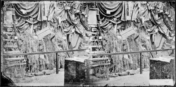 Exhibit of arms and flags - NARA - 527755