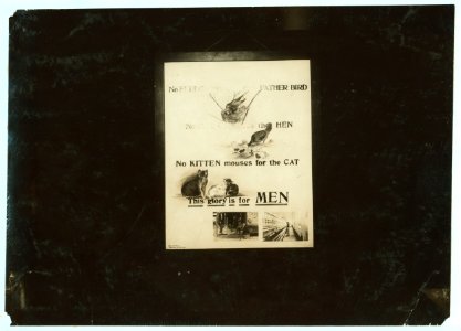 Exhibit panel. LOC nclc.04855