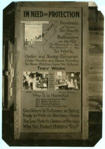 Exhibit panel LOC nclc.05519