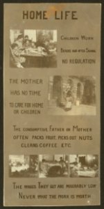 Exhibit panel LOC nclc.05532