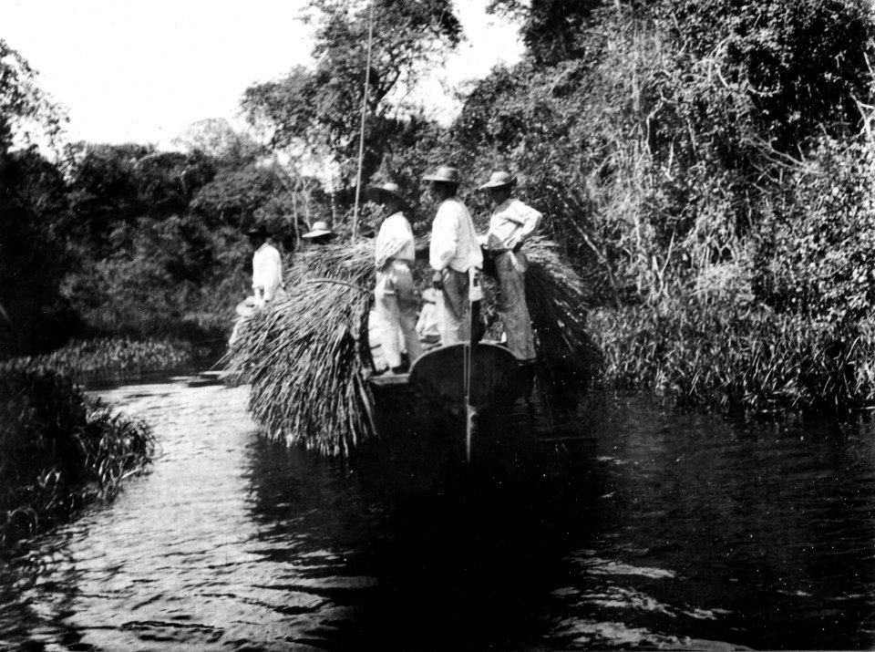 Exp. på färd i monteria genom översvämmade skogar. Lokal, Curichá, vid R. Guaporé, Bolivia - SMVK - 005770