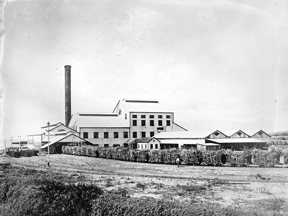 Experimental Station, Hawaiian Sugar Planters Assn. LCCN2016824501