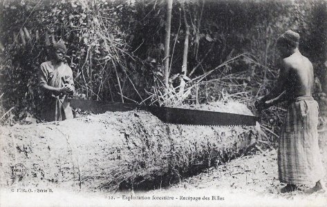 Exploitation forestière-Recépage des billes