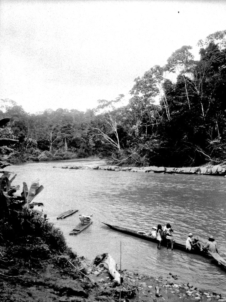 Expedition på Baudófloden. Övre Rio Baudó. Erh, Från Erland Nordenskiöld 1928 - SMVK - 004021