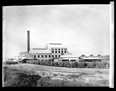 Experimental Station, Hawaiian Sugar Planters Assn. LCCN2016824501