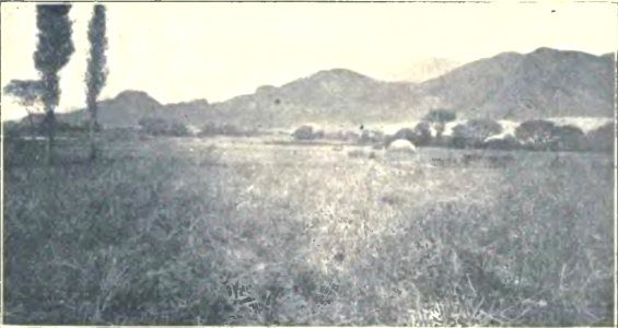 Exploraciones arqueológicas en la ciudad prehistórica de La Paya (page 35 crop) Fig 11