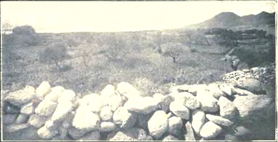 Exploraciones arqueológicas en la ciudad prehistórica de La Paya (page 39 crop) Fig 15
