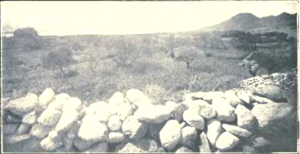Exploraciones arqueológicas en la ciudad prehistórica de La Paya (page 39 crop) Fig 15