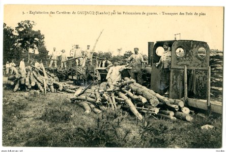 Exploitatation des Carrieres de Gaujacq (Landes) par les Prisonniers de guerre - Transport des Bois de pins