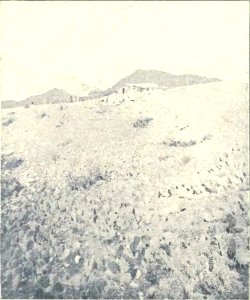 Exploraciones arqueológicas en la ciudad prehistórica de La Paya (page 37 crop) Fig 13